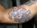 /album/fotos-rodrigo/p1010277-jpg/